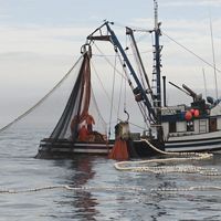Hauling seine nets on a commercial salmon fishing boat along the coast of Prince of Wales Island in Southeast Alaska.