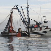 Hauling seine nets on a commercial salmon fishing boat along the coast of Prince of Wales Island in Southeast Alaska.