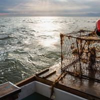 TNC works with fishermen and communities in the Chesapeake Bay.
