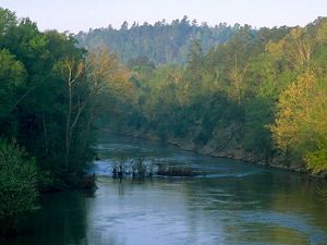 Cahaba River in Alabama in United States, North America.