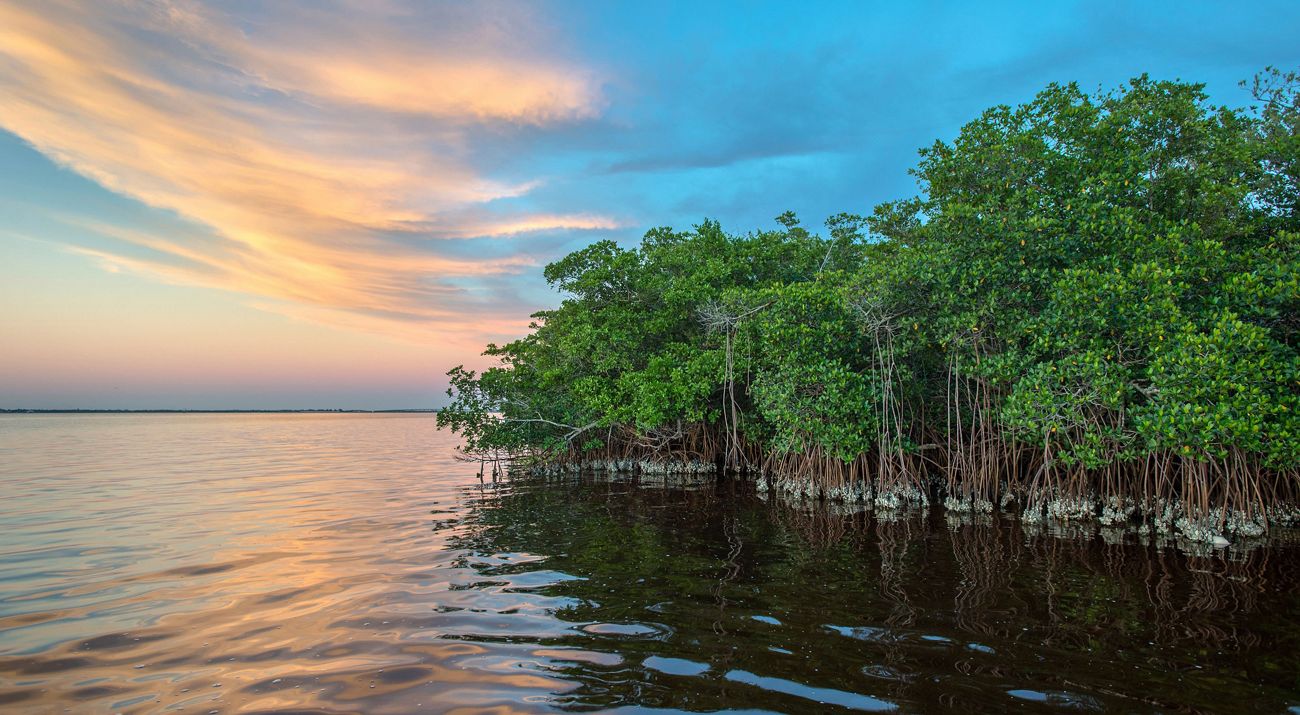 Charlotte Harbor-Ward 640x400