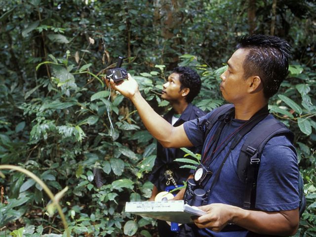 Two men hold a camera and other equipment in a Borneo forest.