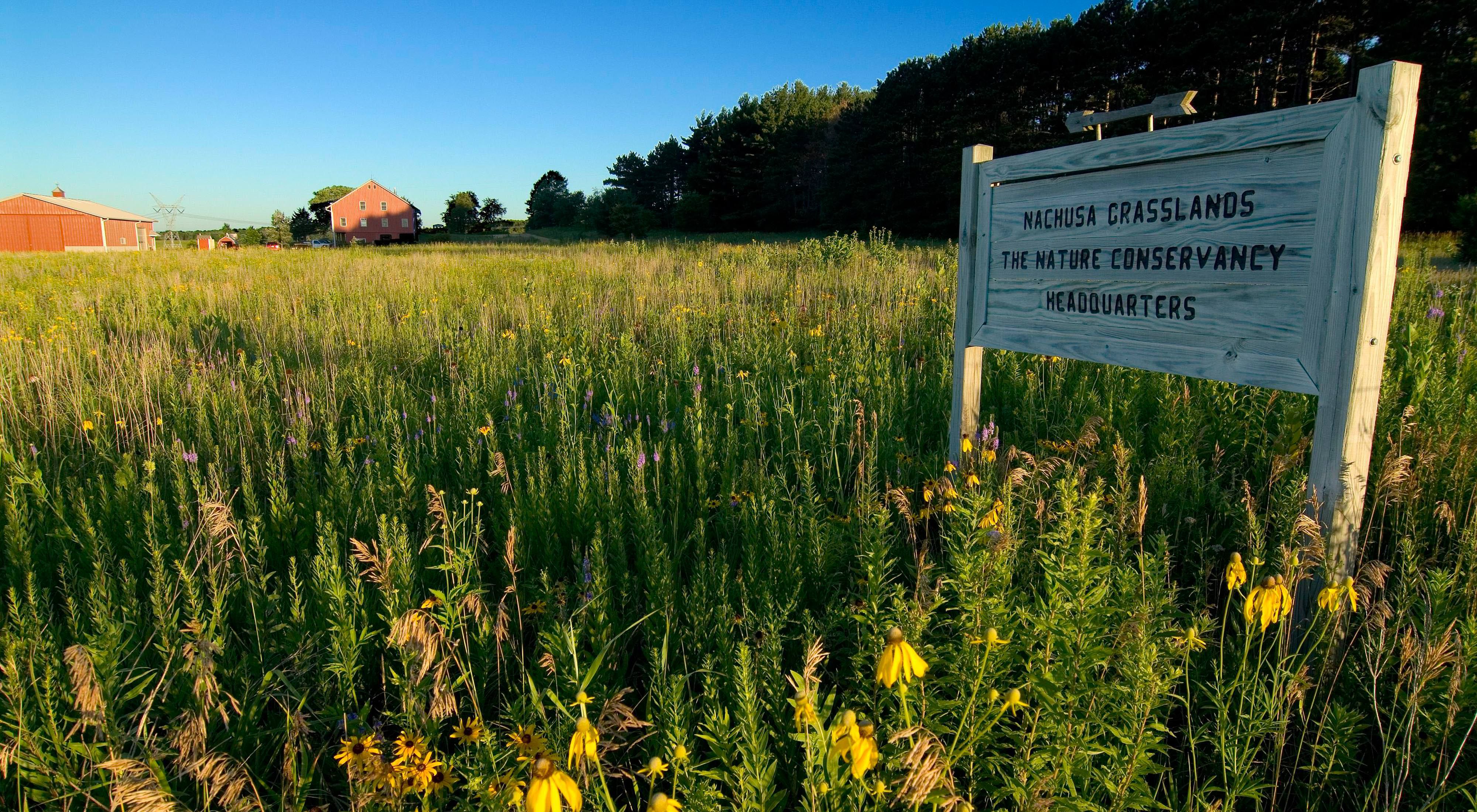 A sign stands in the prairie reading Nachusa Grasslands, The Nature Conservancy Headquarters.