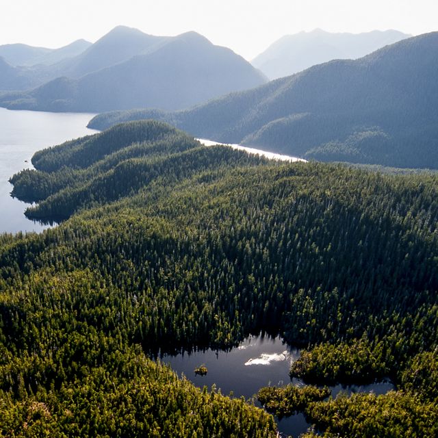 aerial view of Clayoquot Sound.