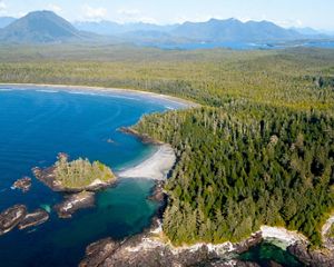 A portion of the largest and last intact coastal rainforest on earth.