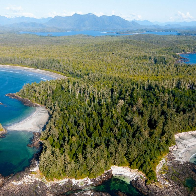 Aerial view of waters in Clayoquot Sound on the coast of British Columbia, with forest-covered mountains in the background.