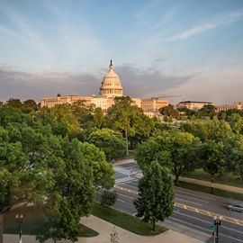 U.S. Capitol from distance, framed by trees and green vegetation.