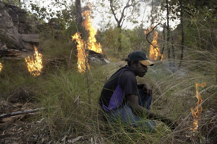 A person kneels in front of a burning forest.