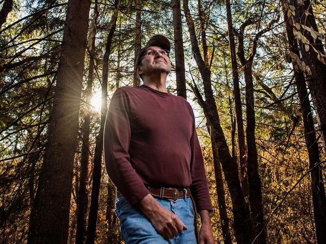 An archeological field coordinator for the Yurok surveys a recently burned site