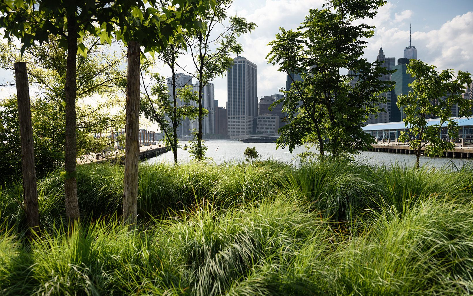 Brooklyn Bridge Park looking towards Manhattan. As cities around the world use nature-based solutions to improve water quality, they are learning that those solutions provide so much more.  © Kevin Arnold