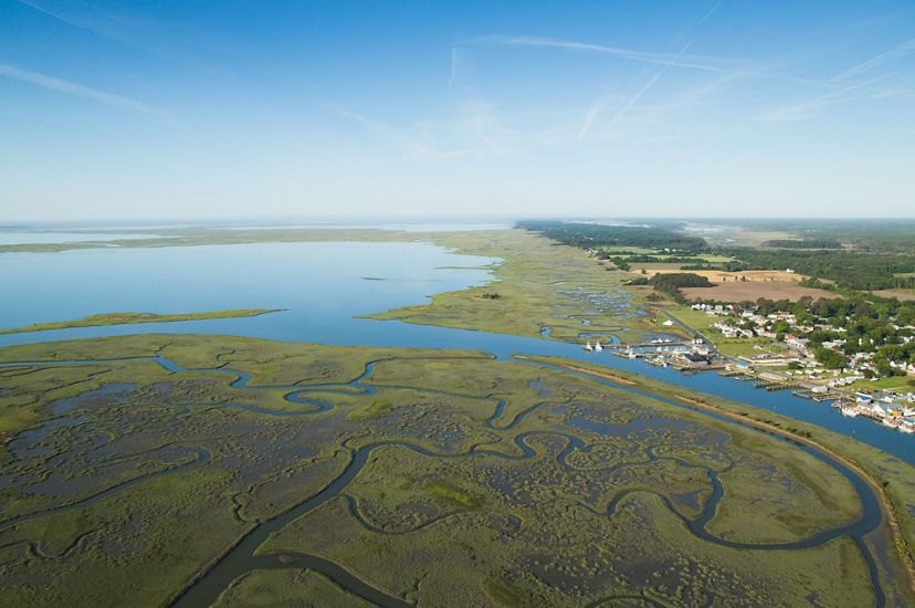 An aerial view of the Virginia Coast Reserve