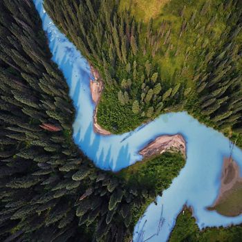 River curves through forest