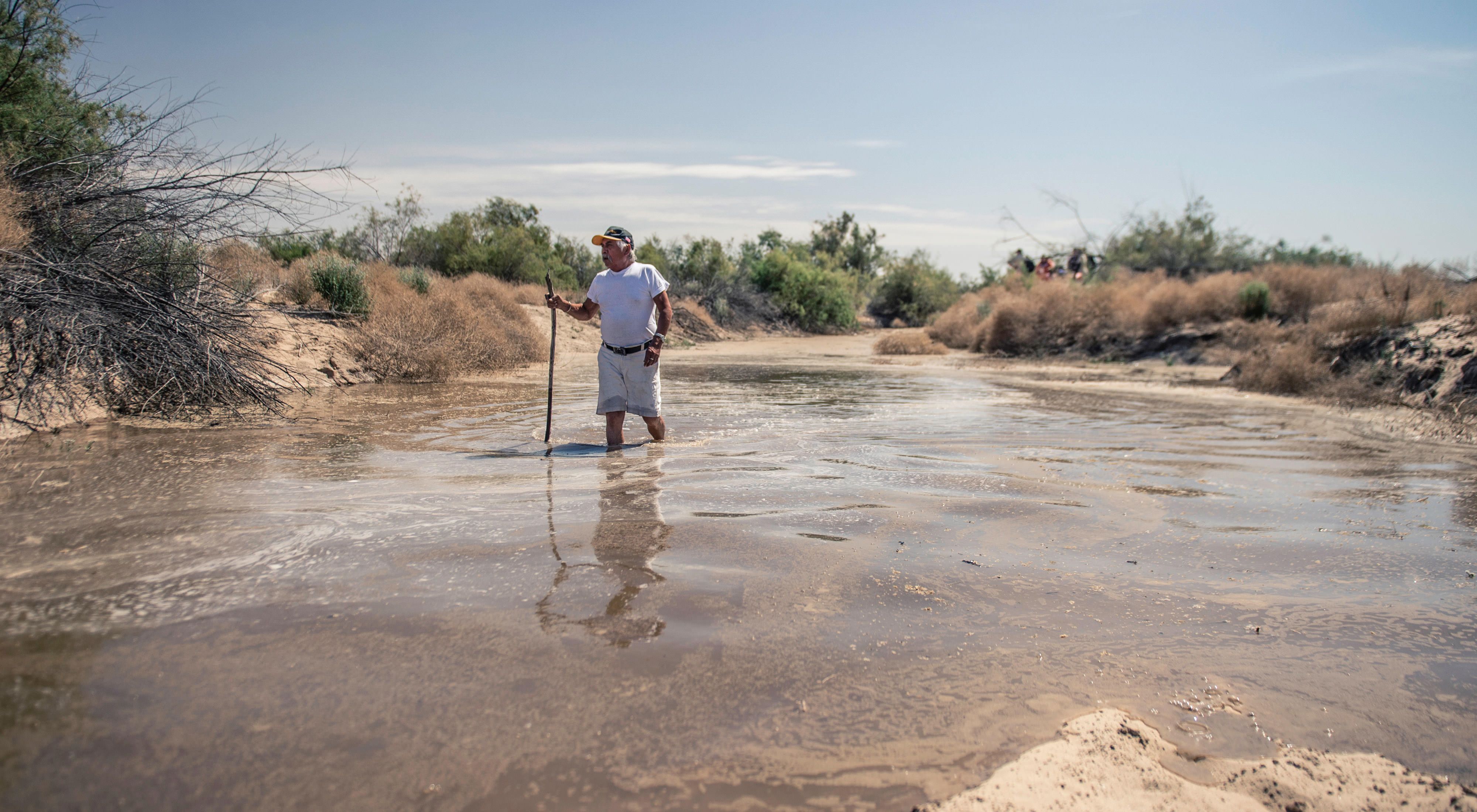 A release of water from the Morelos Dam temporarily revived the Colorado River in northern Mexico in spring 2014, encouraging the regrowth of native trees and inspiring locals to get their feet wet.