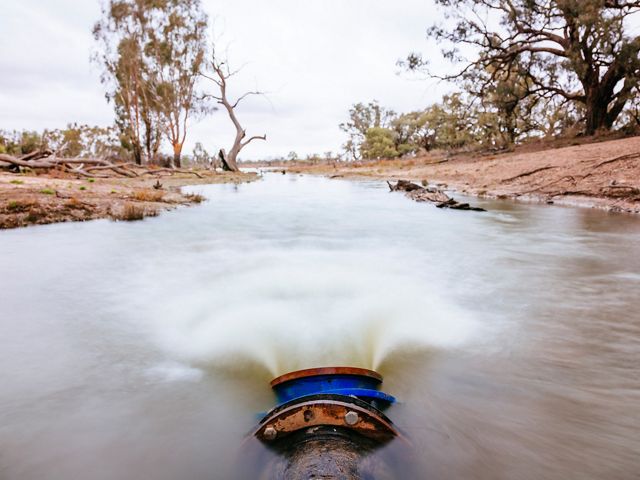 A pipe pumps water from the Murray River into Frenchmans Creek to flood wetlands there.