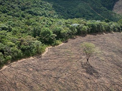Near Cachoeira Reservoir, Brazil.