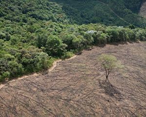 Near Cachoeira Reservoir, Brazil.