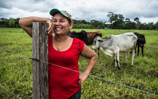 A woman in a baseball cap and red shirt is smiling and leaning against a fence. Her cows are standing behind her.