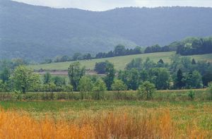with Skyline Mountain in the distance at the Paint Rock River area of Alabama. 