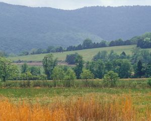 with Skyline Mountain in the distance at the Paint Rock River area of Alabama.