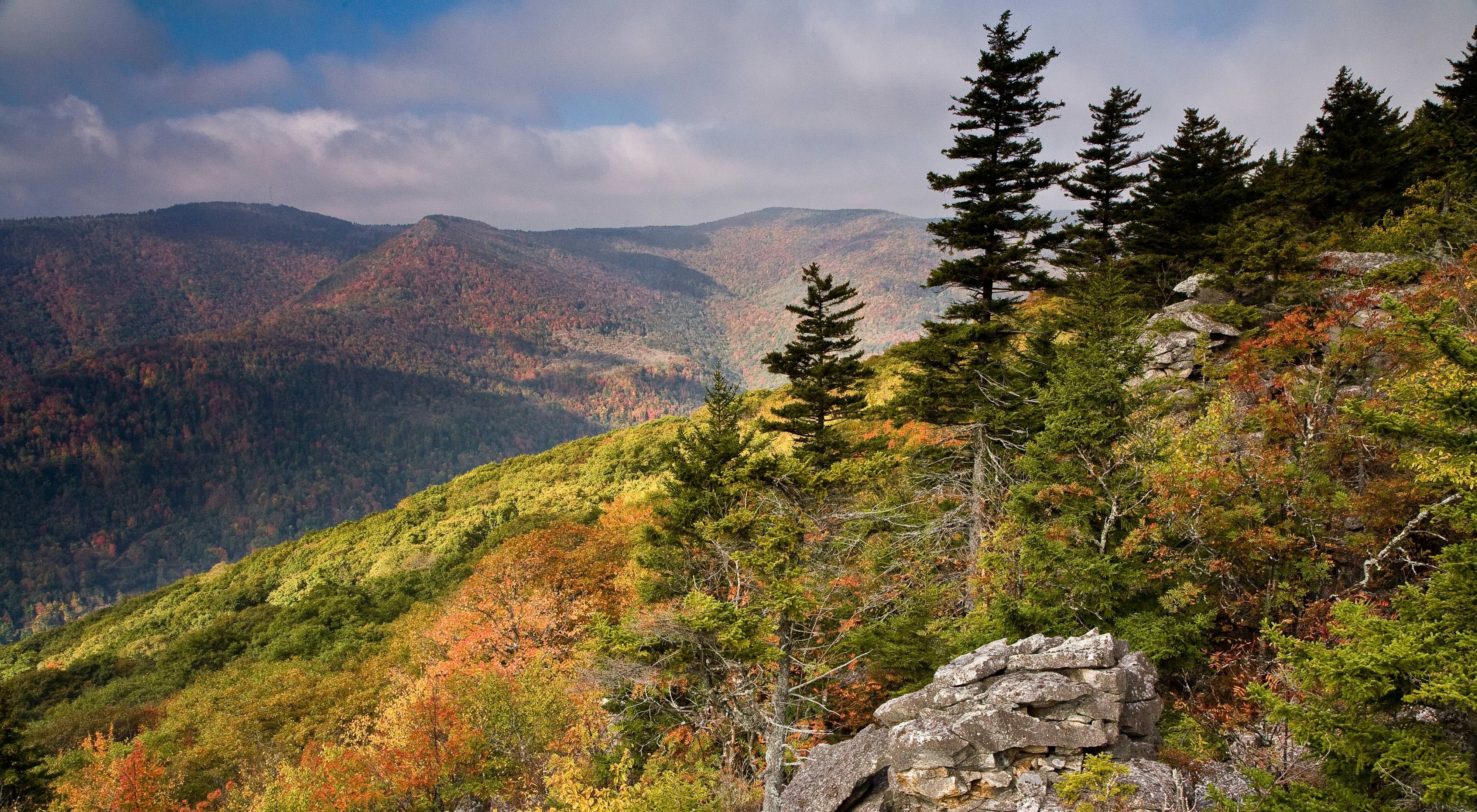 Landscape view of rocky, wooded forests and a mountain range in autumn colors.