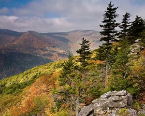 Rolling forested mountains in autumn colors.
