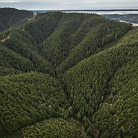 Aerial views of the Ellsworth Creek Preserve, Washington State.