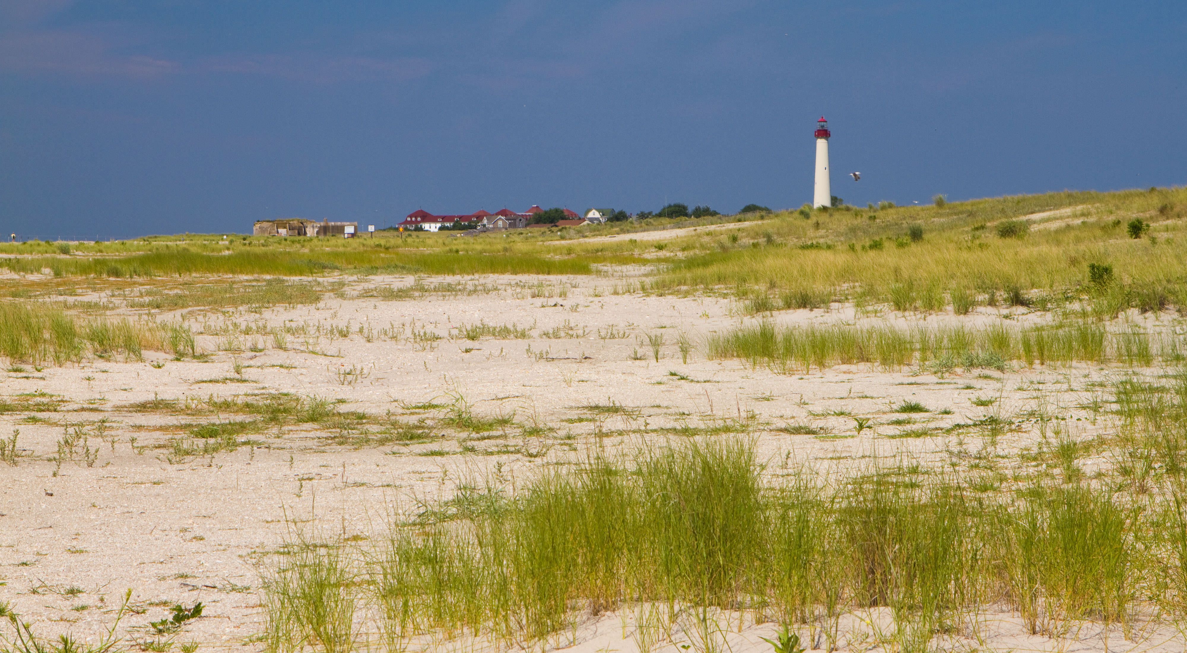 Picture of a lighthouse in Cape May, New Jersey.