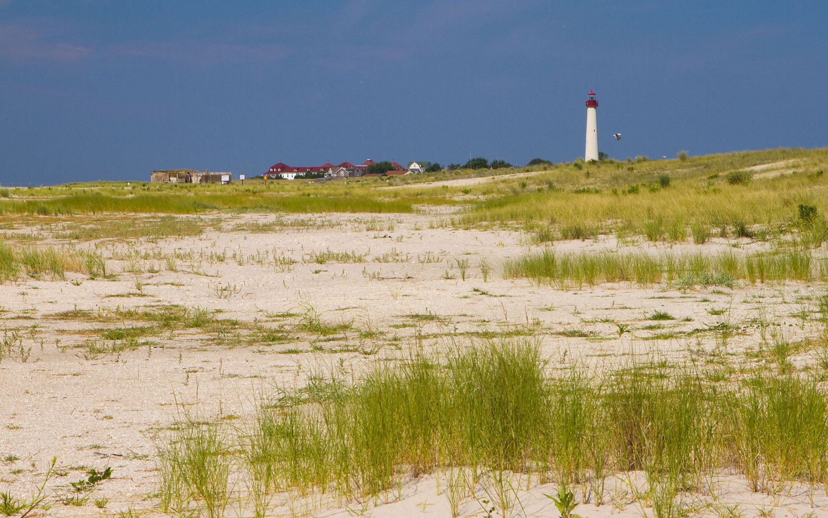 A lighthouse is seen in the background of beach dunes. 