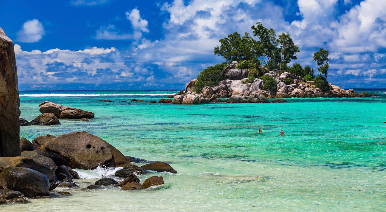 Blue ocean waters with palm trees