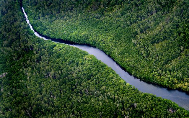 Arial photo of a forest with a river running through it