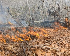 Low intensity burn.