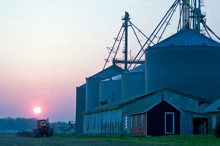 A red tractor drives along next to five tall grain storage silos as the sun rises over the trees at the edge of the farm.