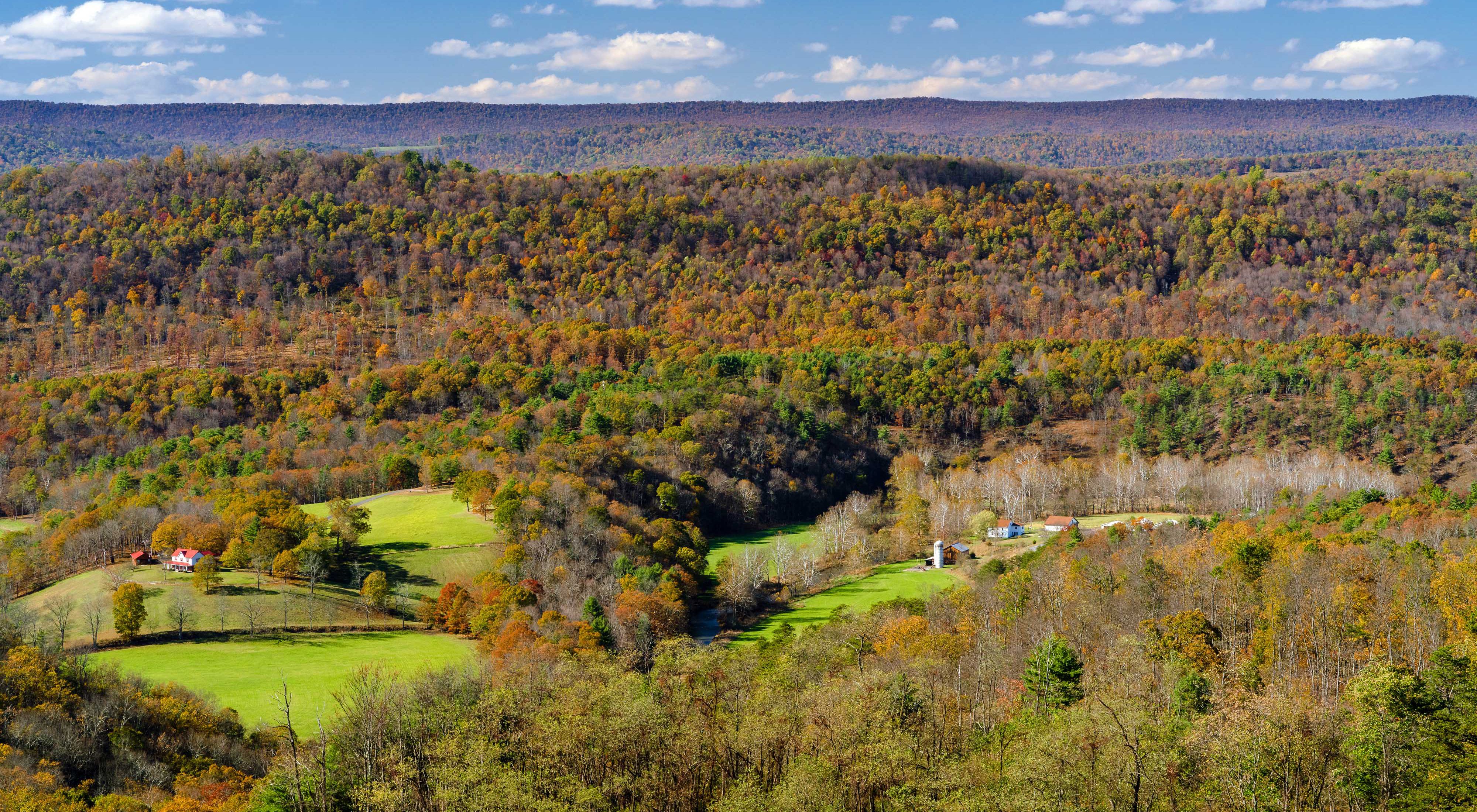 View looking out over a valley to the forested mountains beyond. Two small farms are nestled into green openings in the forest.