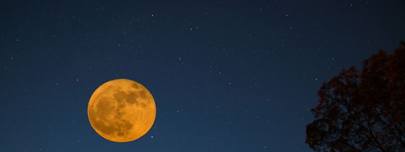 Super moon rises over Virginia's Eastern Shore.