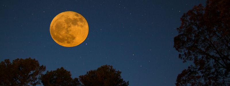 Super moon rises over Virginia's Eastern Shore.