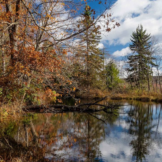 The Nature Conservancy in Maryland/D.C.