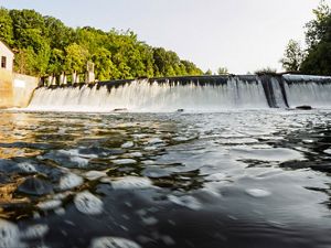 The Columbia Lake Dam  created an 18-foot high barrier for migratory American shad swimming in from the Delaware River to spawn in the Paulins Kill’s calm waters.