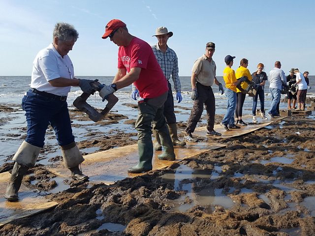 A line of volunteers work on a breakwater together on a beach.