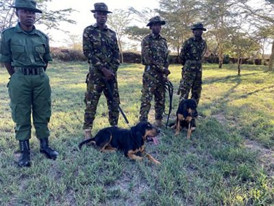 Four individuals in military or security uniforms stand on a grassy field with two dogs. Trees and bushes are visible in the background.