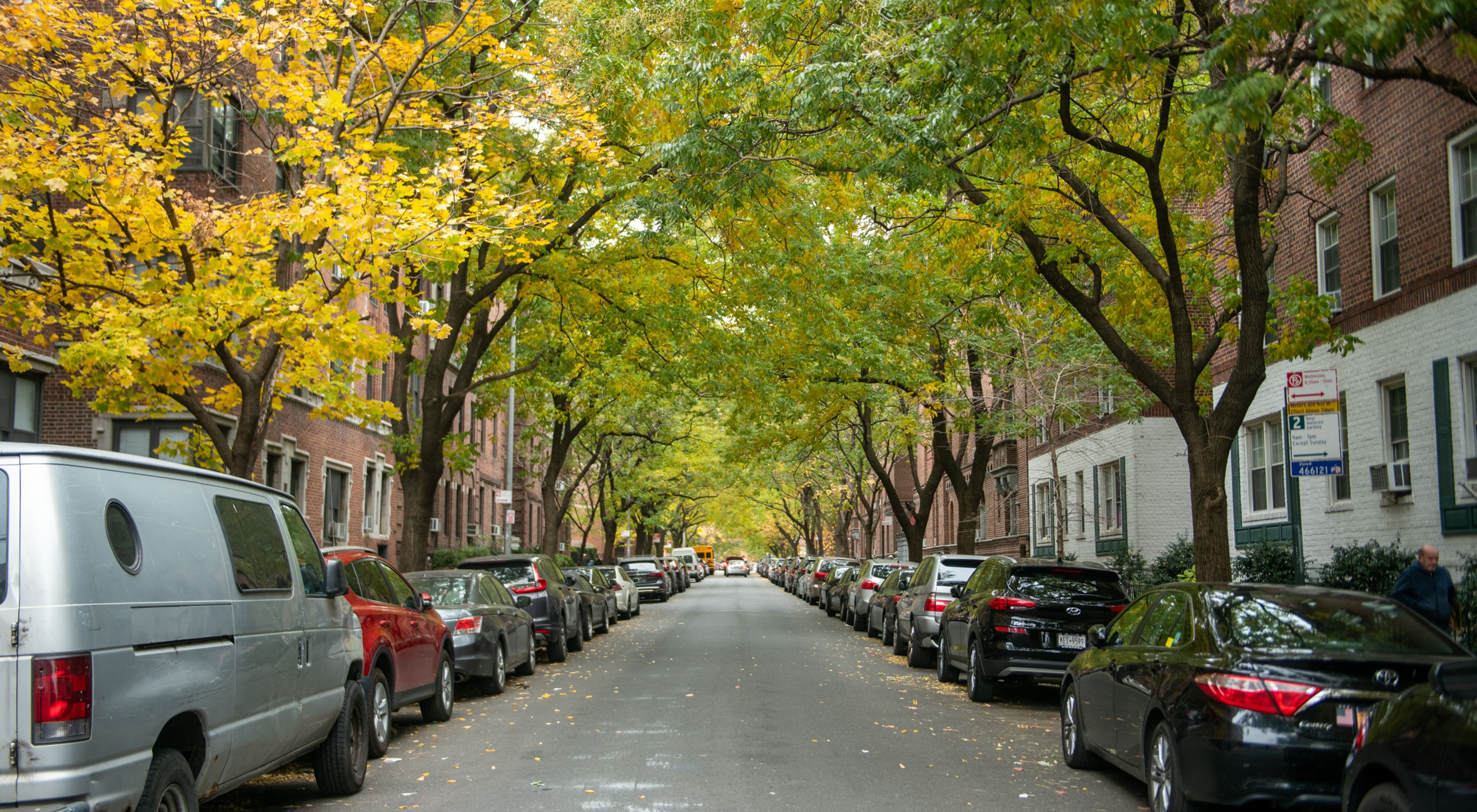 A NYC street with trees lining either side. 