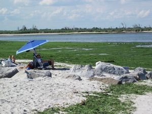A person sitting on sandy plot surrounded by ulva. 