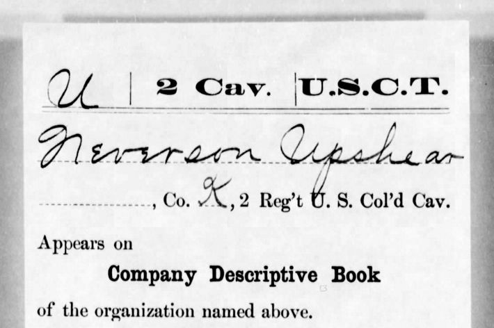 Handwritten enlistment document dating from the Civil War.