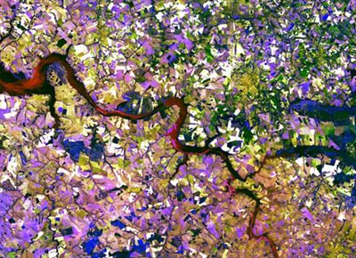 Aerial view looking straight down on a winding river snaking through a multicolored landscape.