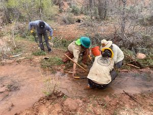 A group of four stand in knee-deep water and work together to lay logs and branches.