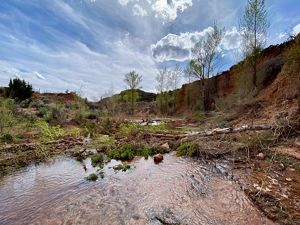 View of a stream with branches and vegetations placed across it and red mountains surrounding on a sunny day.