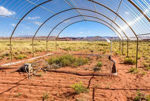 An outdoor research area at the Canyonlands Research Center, with a raised planting bed under the frame of an open greenhouse.