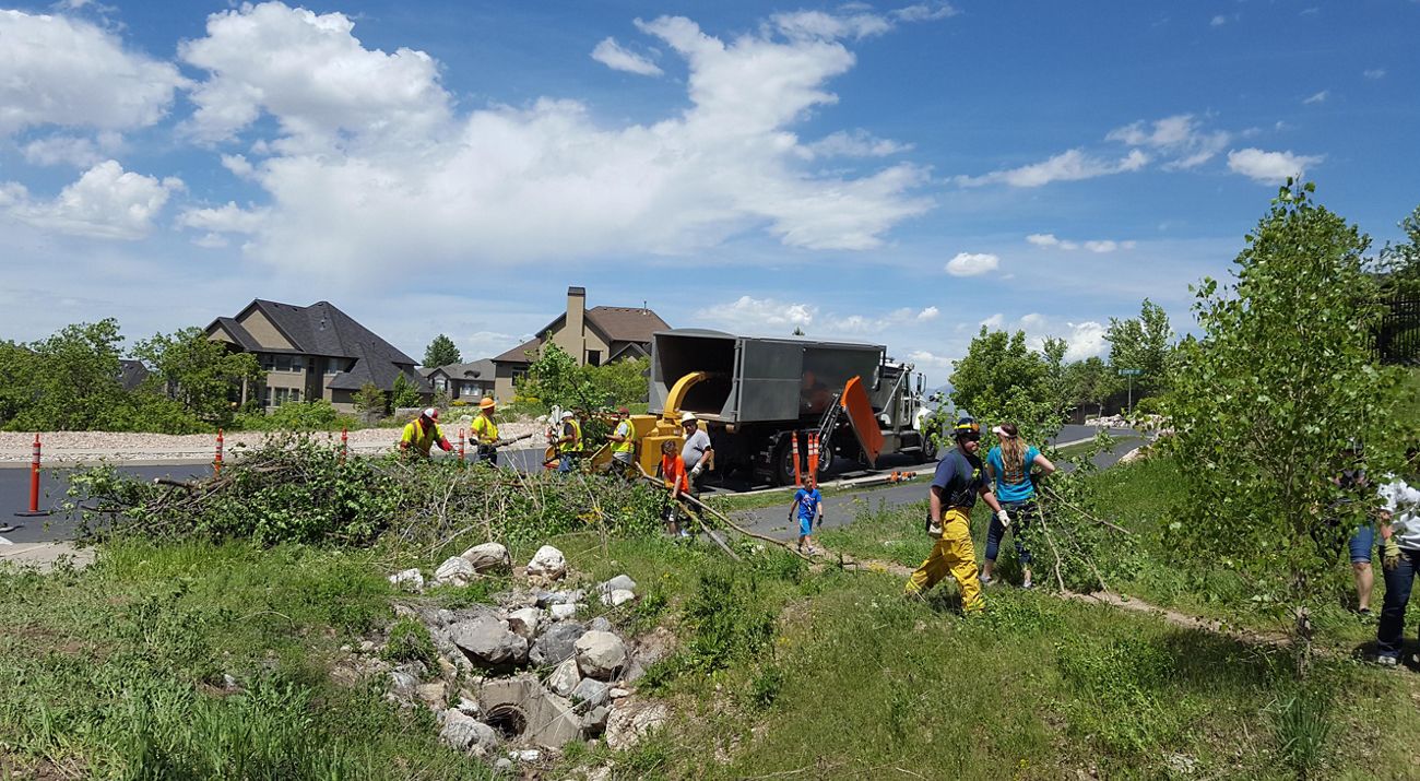 Photo of a team of 5 people picking up branches in a Utah neighborhood.