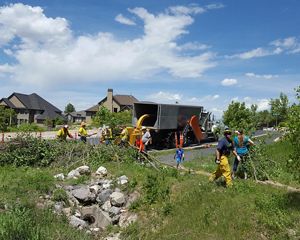 Photo of a team of 5 people picking up branches in a Utah neighborhood.