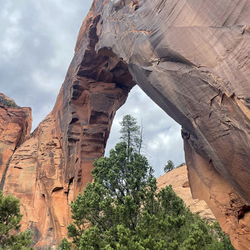 A soaring sandstone arch rises over the desert floor against a backdrop of low, gray clouds.
