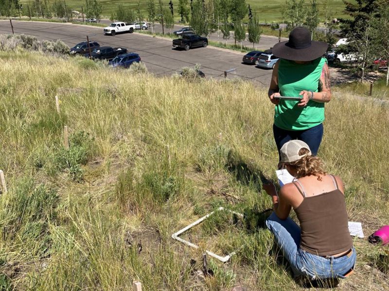 Two people looking down in an outdoor setting with mountains in the background.